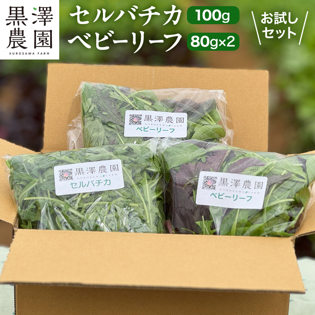セルバチカ (ワイルドルッコラ) 100g と ベビーリーフ (80g × 2パック) の 黒澤農園 お試しセット ベビーリーフサラダ 生野菜 食べやすい 若葉 ファミリー 旬 新鮮 国産 彩り サラ
