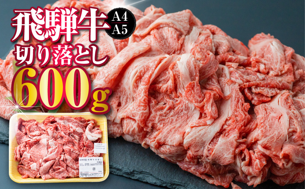 
                  【訳あり】飛騨市産 厳選 飛騨牛 切り落とし 切落し A4・A5ランク 600g 牛肉 和牛
                