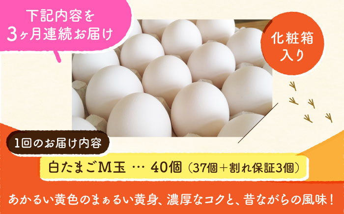 【全3回定期便】【化粧箱入り】白たまご M玉 40個（37個＋3個割れ保証）【株式会社 かもと養鶏】 [ZCA010]