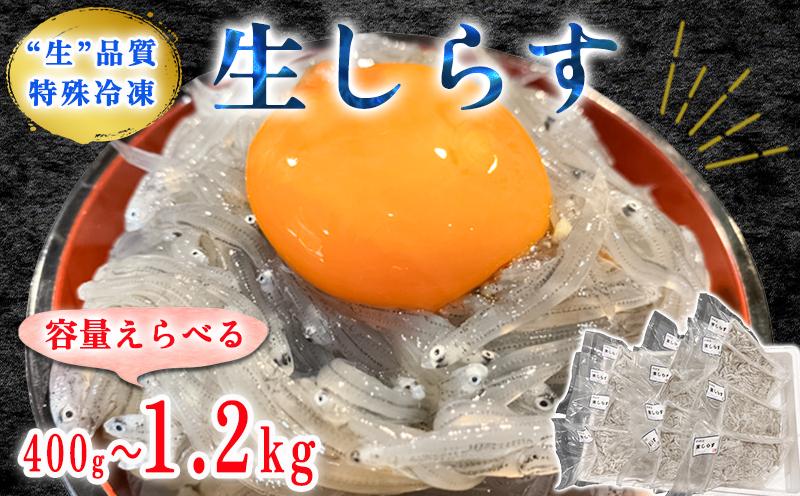 
            【容量 選べる】 生しらす お刺身 約400g~1.2kg 小分け 冷凍 真空パック 便利 簡単 刺身 パック 生しらす シラス 生しらす丼 しらす お刺身 海鮮丼 しらす丼 生しらす 生姜 醤油 お吸い物 生しらす シラス 新鮮 海鮮 ふるさと納税刺し身 魚貝 海産物 魚貝類 海の幸 魚 小魚 さかな ふるさと納税しらす ふるさと納税刺身 しらす 岬だより 人気 おすすめ 愛知県 南知多町
          