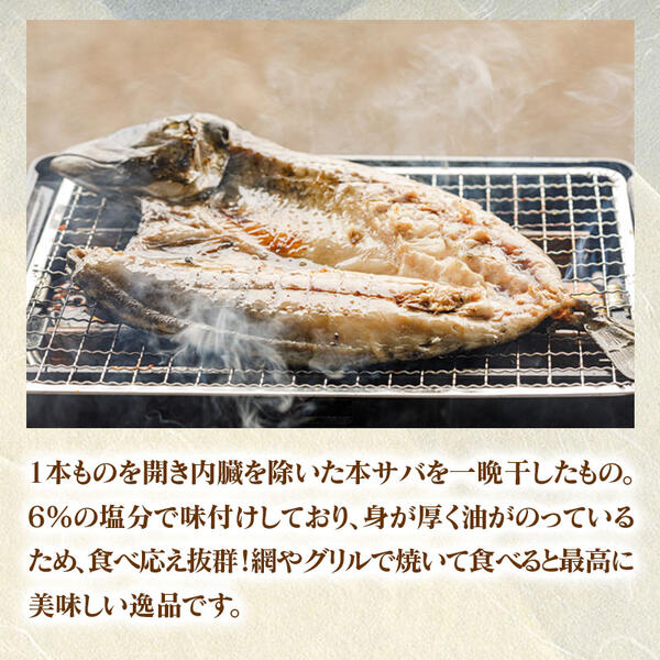 ひむか本ｻﾊﾞの一夜干し､ﾌｨﾚ､炙り､〆さばのｾｯﾄ N025-YB533_イメージ2