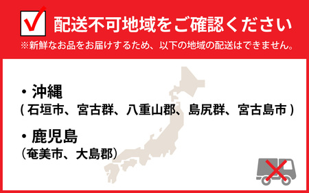 先行予約【年内発送】冬の王者！茹で越前がに1000-1100g　１杯 [N-065042] /  かに 蟹 ずわい ズワイ 茹でがに