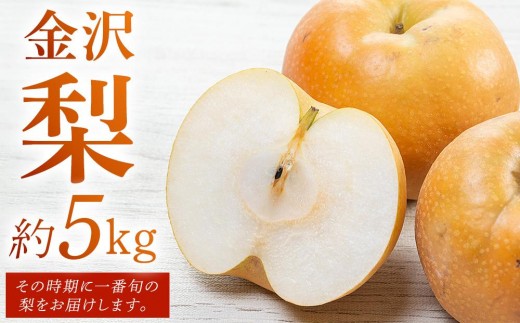
                  JA金沢市 金沢梨 5kg | 梨 豊水 幸水 南水 なし フルーツ 果物  旬 国産 和梨 甘い シャキシャキ 秋の味覚 新鮮 贈り物 地域特産 高品質 ジューシー 人気 おすすめ 送料無料 石川 金沢 加賀百万石 加賀 百万石 北陸 北陸復興 北陸支援
                