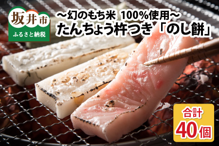 たんちょう杵つき のし餅 計40個 おもち 餅 [A-2997]