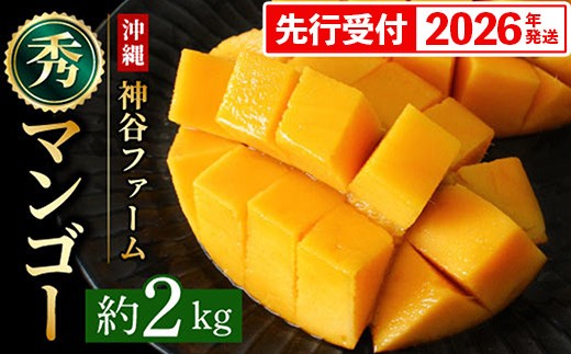 神谷ファームのマンゴー（秀）約2kg
