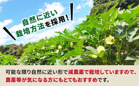 【朝採れ旬野菜】【先行予約】 オクラ 約1kg ＜パッパラパー農園＞ [CFI001] おくら オクラ 夏野菜 野菜 冷蔵オクラ 冷蔵オクラ 新鮮オクラ おくら オクラ おくら オクラ おくら オクラ