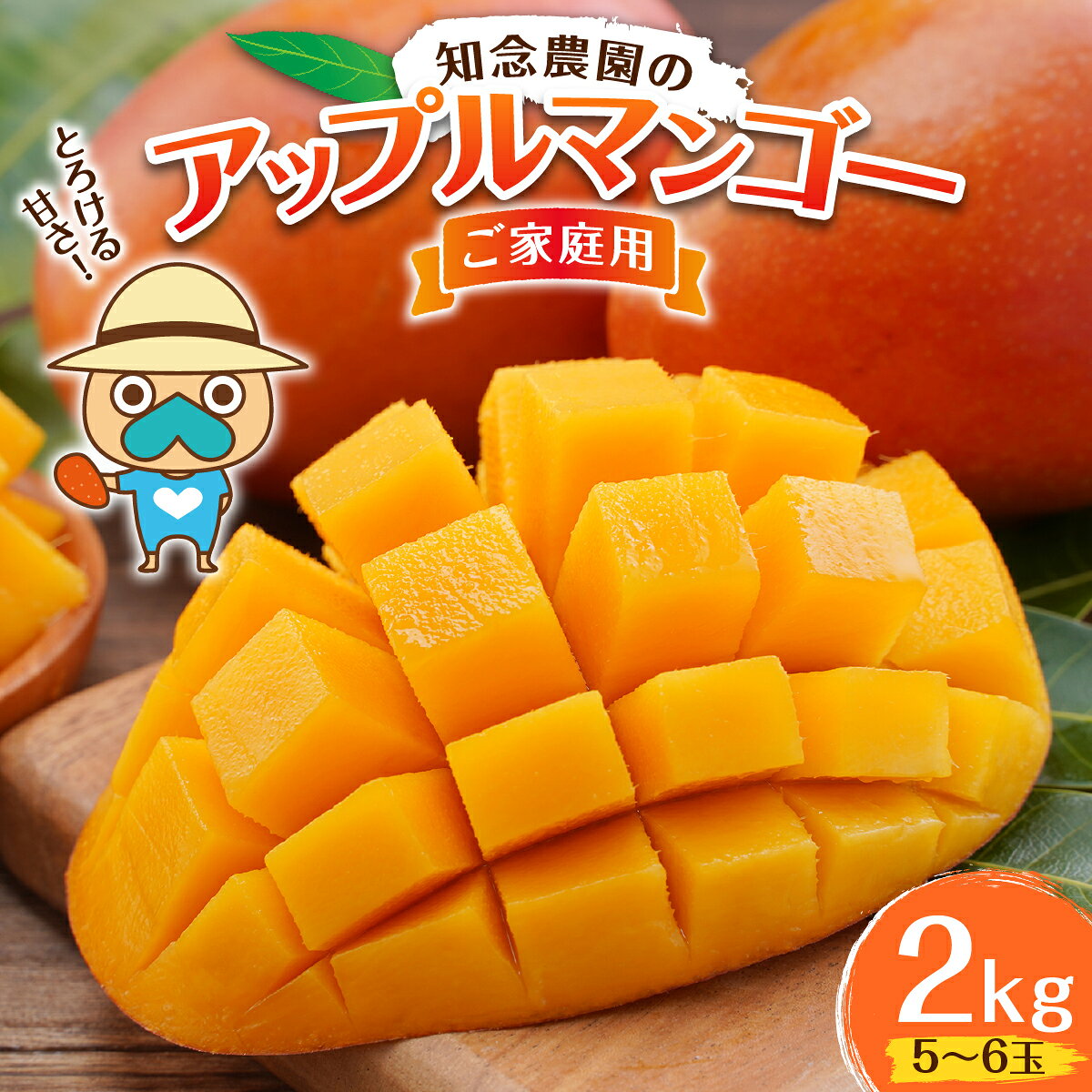 【ふるさと納税】知念農園のアップルマンゴー（2kg）ご家庭用　5～6玉I マンゴー まんごー トロピカルフルーツ フルーツ 沖縄県 南城市 ふるさと納税