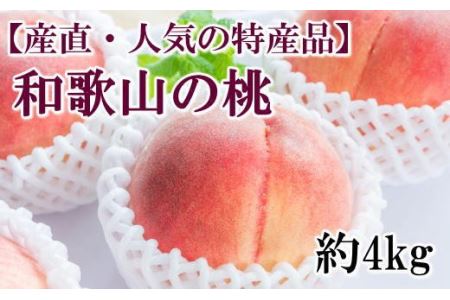 【産直・人気の特産品】和歌山の桃　約4kg・秀品　※2026年6月下旬～2026年8月上旬頃頃順次発送【tec911B】
