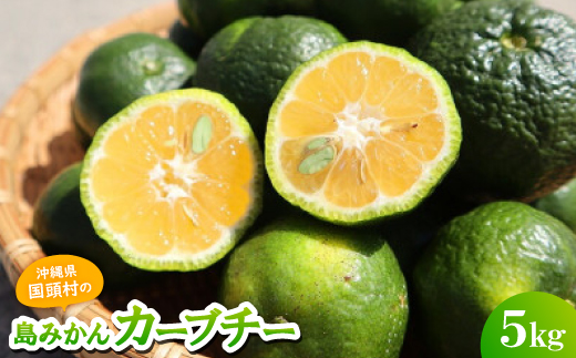 
                  ＜2026年10月から順次発送＞国頭村産の島みかん カーブチー5kg 沖縄在来柑橘 爽やかな香り【1618470】
                
