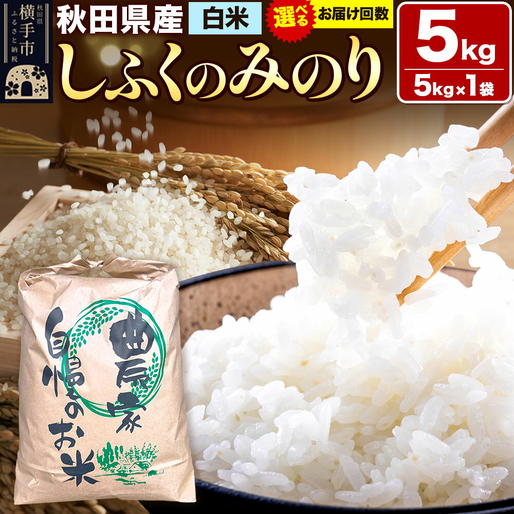 【ふるさと納税】【白米】定期便 令和7年産 しふくのみのり 5kg（5kg×1袋） 秋田県産 横手市【選べるお届け回数】