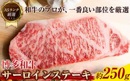 博多和牛サーロインステーキ 250g (250g×1枚)《30日以内に出荷予定(土日祝除く)》小竹町 博多和牛 株式会社MEAT PLUS 牛肉 サーロイン A5ランク のみ使用 厳選