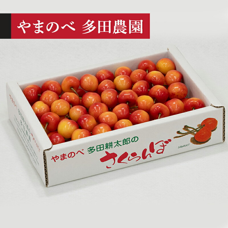 【ふるさと納税】 【令和8年産】 レーニア バラ詰 700g やまのべ多田耕太郎のさくらんぼ F2Y-4569
