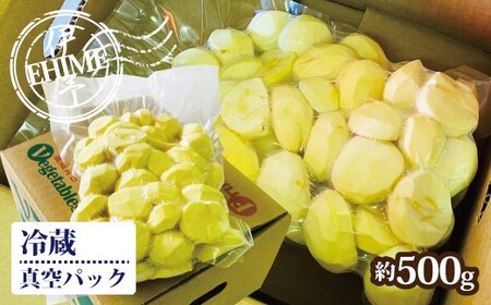 【2026年先行予約】栗 むき栗 約500g 【2026年9月下旬以降発送予定】 旧中山町産  数量限定 生栗 濃厚な甘み ホクホク 焼き栗 栗ごはん 伊予市 愛媛県｜B468