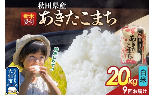 《令和8年産新米予約》 《定期便9ヶ月》【白米】あきたこまち 20kg（5kg×4） 秋田県産  こまちライン 秋田県 大仙市産 [秋田 お米 米どころ あきたこまち こまちライン]