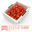 【ふるさと納税】【先行予約】さくらんぼ 佐藤錦 秀品 L玉 500g×1パック バラ詰 2025年産 令和7年産 山形県産 送料無料