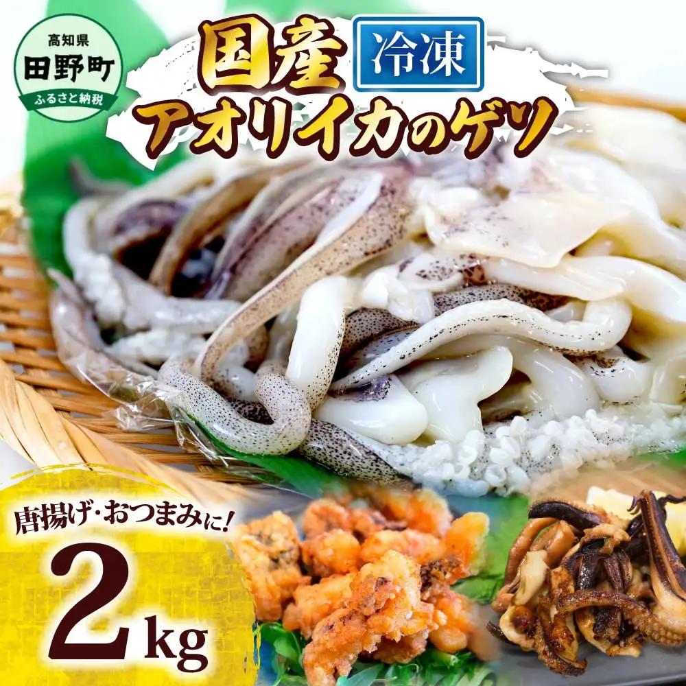 アオリイカ ゲソ 500g×4パック 2kg【アオリイカ】