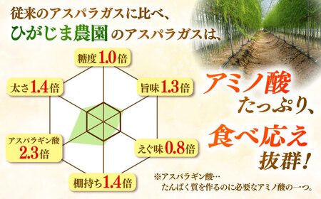 【先行予約】春芽アスパラガス 約1kg / アスパラ [ICW001]