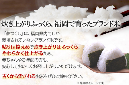 令和5年産　福岡県産ブランド米「夢つくし」白米　5kg