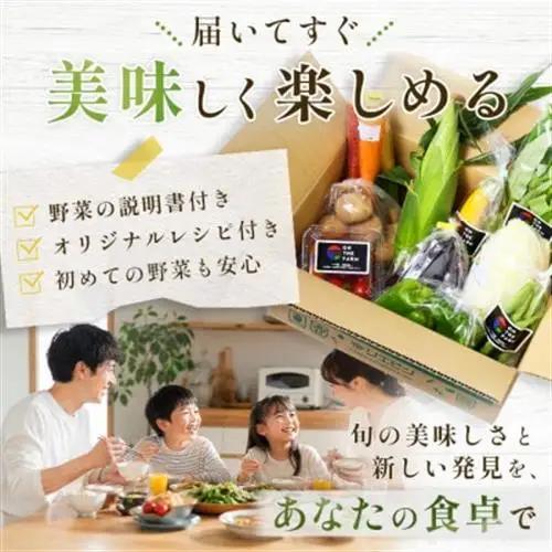 【毎月定期便】【中旬発送】こだわりの旬野菜BOX「リエビン」季節の野菜セット全6回【配送不可地域：離島・沖縄県】【4012343】