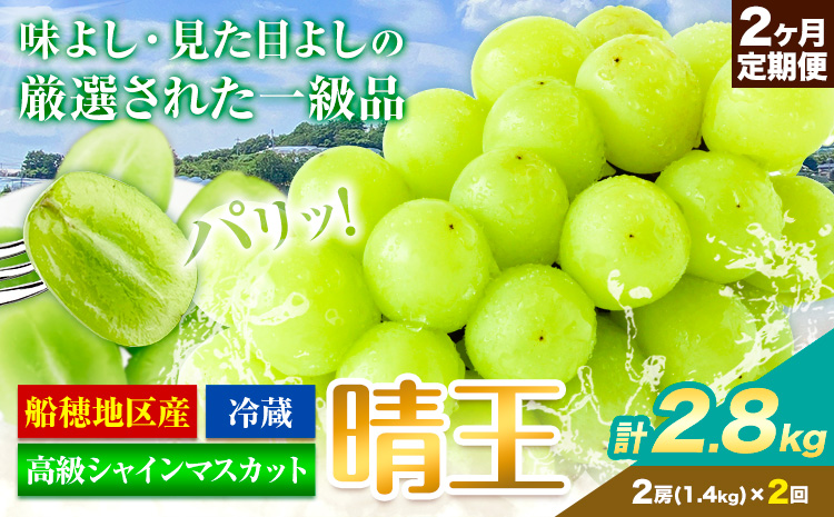 高級 シャインマスカット 2ヶ月 定期便 [2025年先行予約] ぶどう 晴王 2房 2.8kg 岡山県産 《9月上旬-10月末頃出荷(土日祝除く)》 ハレノフルーツ マスカット 送料無料 岡山県 浅口市 フルーツ 果物 贈り物 ギフト 国産 岡山県産【配送不可地域あり】（北海道・沖縄・離島）