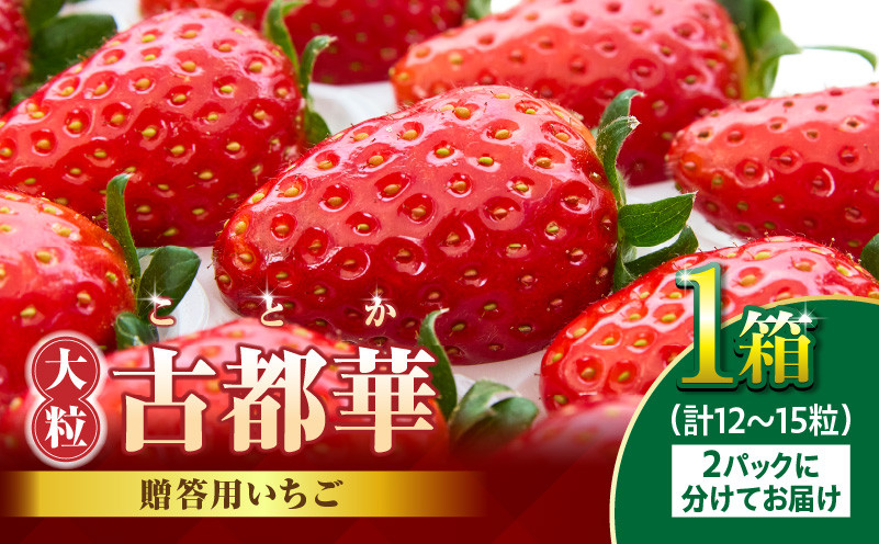 
贈答用いちご【数量限定】『古都華』 いちご 数量限定 古都華 12～15粒 化粧箱 国産 国産苺 ストロベリー 果物 果実的野菜 フルーツ デザート おやつ 糖度 濃厚 香り 鮮やか 甘い ビタミン 奈良県産 お取り寄せ 贈答用 送料無料
