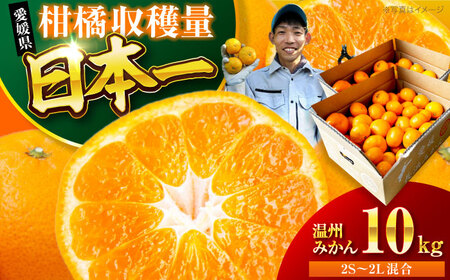 【10月より順次発送】温州みかん 10kg フルーツ 果物 ふるーつ フルーツ ふるーつ[AGBC006]