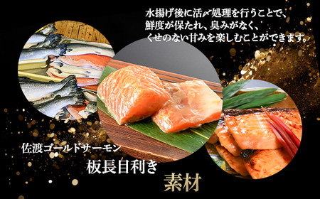 66-17美味極上　佐渡ゴールドサーモンの長岡越後味噌漬 8切入
