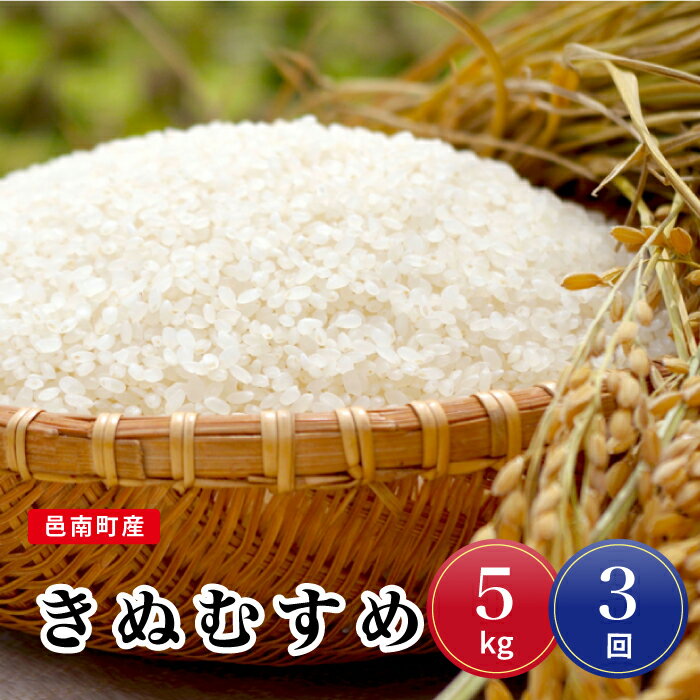 【ふるさと納税】令和7年産【定期便3回】邑南町産きぬむすめ5kg