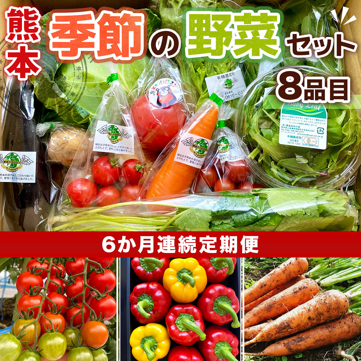【6か月連続定期便】熊本季節の野菜セット 8品目  AB003