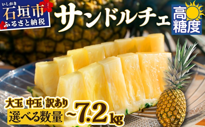 
            《2025年夏季 順次発送》【通常・訳あり】【選べるサイズ】石垣島産 サンドルチェパイン 約3.5～4kg 【SI-28/SI-41/SI-42/SI-43/SI-106/SI-107/SI-108/SI-109】
          