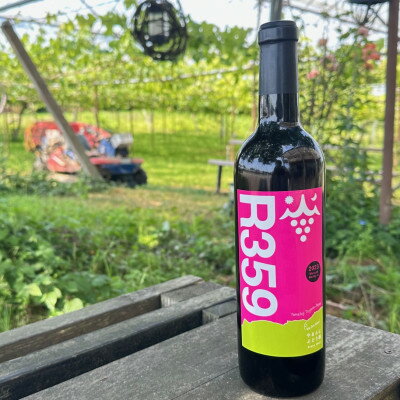 【ふるさと納税】R359(サンゴク)2023【配送不可地域：離島】【1633272】