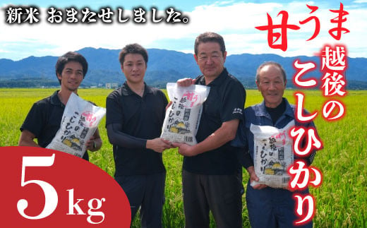 【令和6年産】新米 コシヒカリ 5kg 甘うま越後のこしひかり 越後 えちご 玄米 特別栽培米 新潟 コメ こめ お米 米 しんまい 新潟県 新潟米 新発田市 新発田産