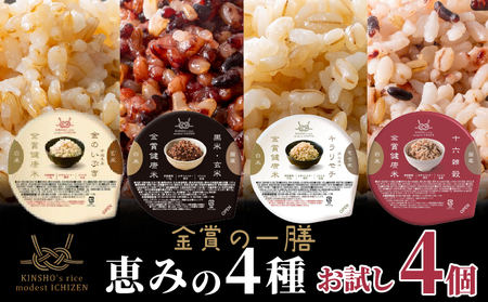 【金賞健康米】恵みの4種食べ比べセット 120g×4個入り ご飯パック