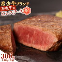 【ふるさと納税】幸せを運ぶ牛《幸生牛》希少牛 ヒレステーキ 300g (150g×2個) ／ 厳選 牛肉 小分け ご褒美 ディナー 人気 山形県産 お酒のお供 贅沢 お取り寄せ 山形 個包装 高級 国産 限定 数量限定 希少 山形県寒河江市（クラウドファンディング対象）