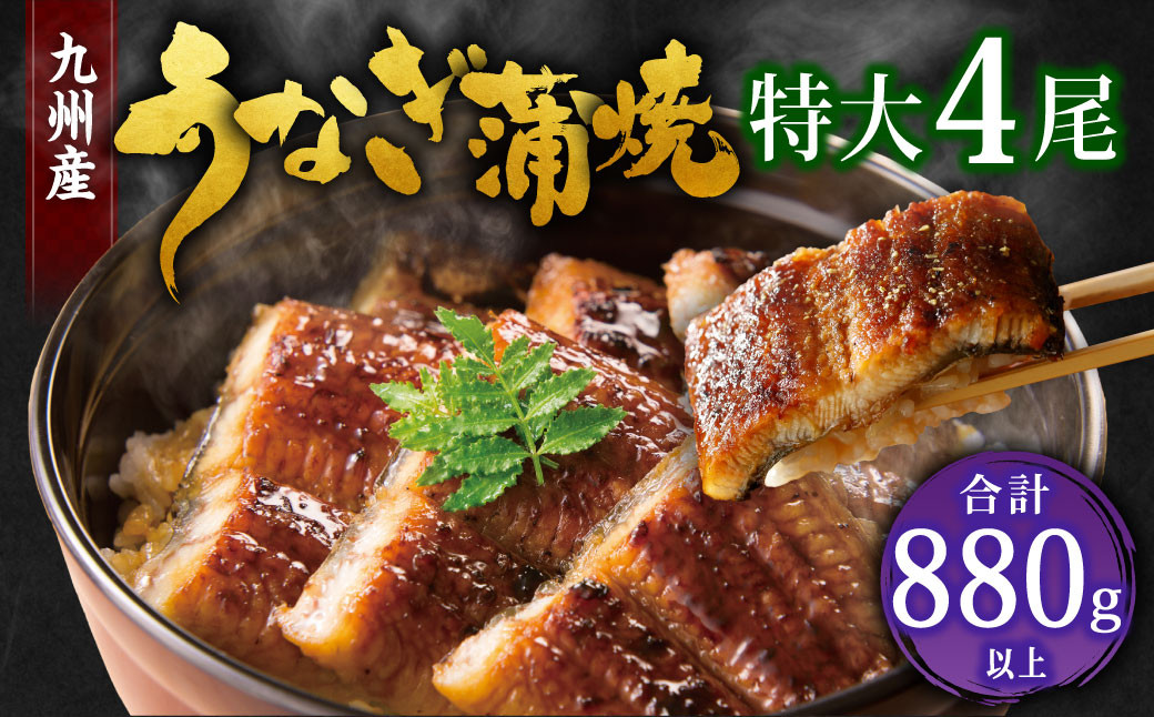 九州産 うなぎ 蒲焼 特大4尾 計880g以上 (1尾あたり220～235g)