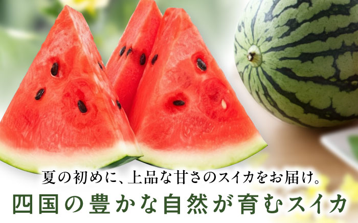 【先行予約】【2026年6月上旬から順次発送】 スイカ【祭りばやし】4L（9〜10kg）×2玉 計18〜20kg すいか 西瓜 フルーツ 果物 くだもの 愛媛県大洲市/ふじた農園 [AGDH004]