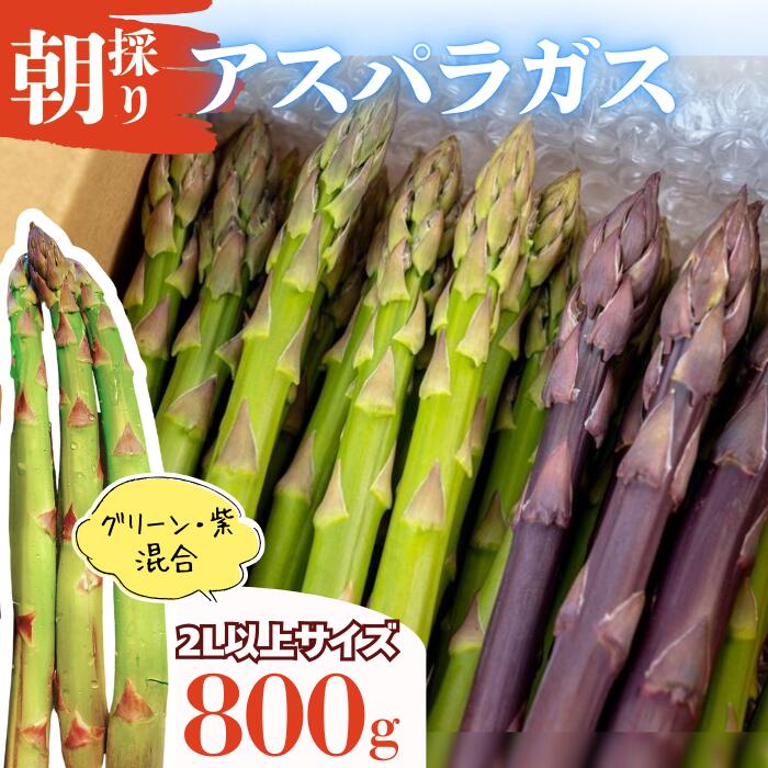 【ふるさと納税】＜先行予約＞やまに農産「朝採りアスパラガス」800g（2L以上サイズ）(限定10セット)　岩手県　西和賀町　やまに　アスパラ　あすぱら