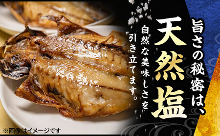 【訳あり】真アジの干物 1.4kg（20枚前後） 干物セット [AKCX013]