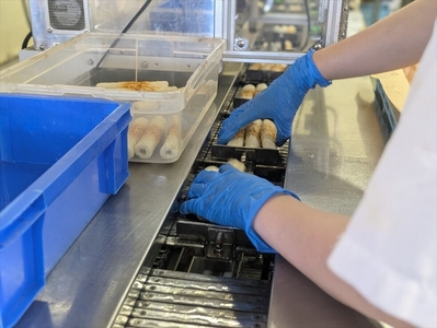 【迎春】こだわりかまぼこ詰め合わせ5品　こだわりギフト〈出荷時期：2025年12月24日～順次発送〉【 ギフト プレゼント 贈り物 お返し おいしい 神奈川県 南足柄市 】