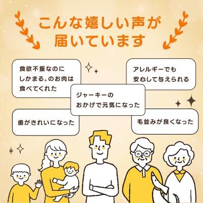 ふるさと納税 伊豆市 【中・大型犬】ペット用鹿肉ジャーキー福袋セット / しかまる 高タンパク低脂肪 |  | 02