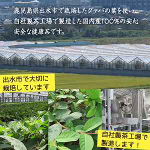 i1137-A グァバ茶PET(神秘也)200ml×40本 お茶 茶 国産 グァバ葉 ノンカフェイン ポリフェノール 血糖値 コレステロール ペットボトル 【出水酒造 izumi-syuzou】