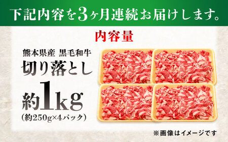 【全3回定期便】熊本県産 『原田畜産』 黒毛和牛 切り落とし 計約1kg（約250g×4パック） 牛肉 牛【有限会社 九州食肉産業】[AYCN042]