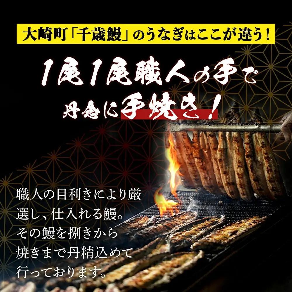 鹿児島県大隅産　千歳鰻 の 白焼 1尾 ・ 蒲焼き 1尾　合計2尾セット｜うなぎ うなぎ
