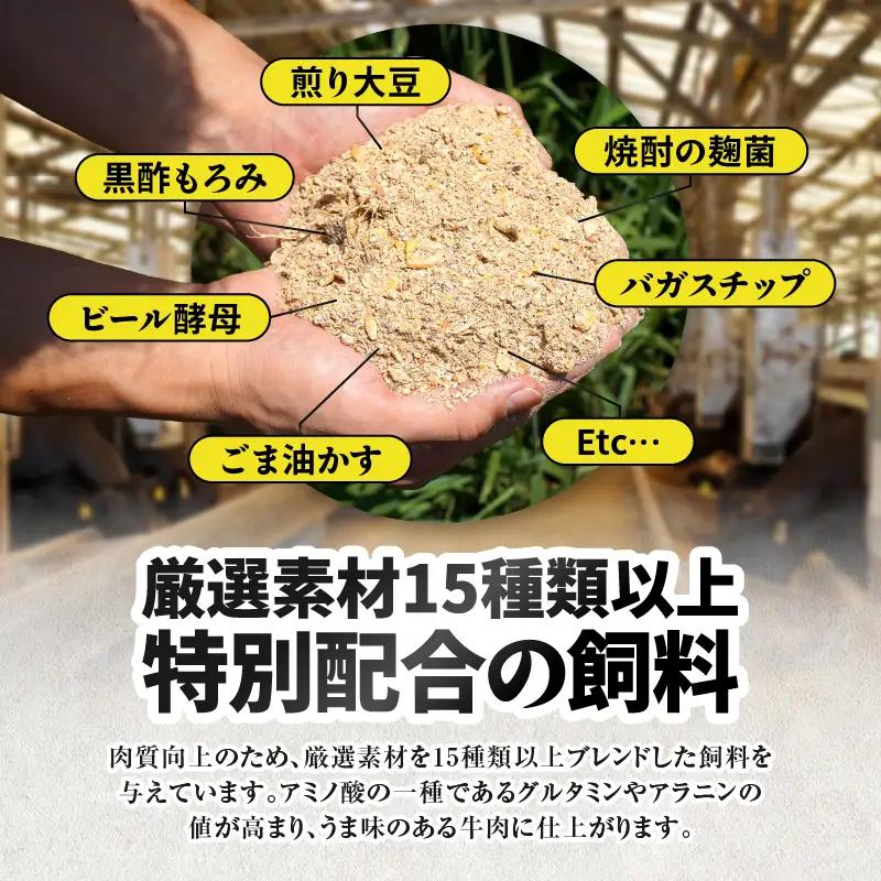 2471 【鰻も牛もどっちもイエェェェーイ！4】鹿児島県大隅産「カット」 うなぎ蒲焼 80g×1枚 うしの中山和牛100% ハンバーグ 2個 KN050-013 肉 牛肉 魚 冷凍