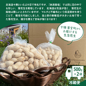 【2026年出荷分】北海道十勝芽室町 生落花生 茹で用 郷の香 1kg ( 500g ×2袋 ) さとのか 大粒 落花生 らっかせい 生らっかせい 生 豆 ピーナッツ ナッツ おやつ おつまみ つまみ