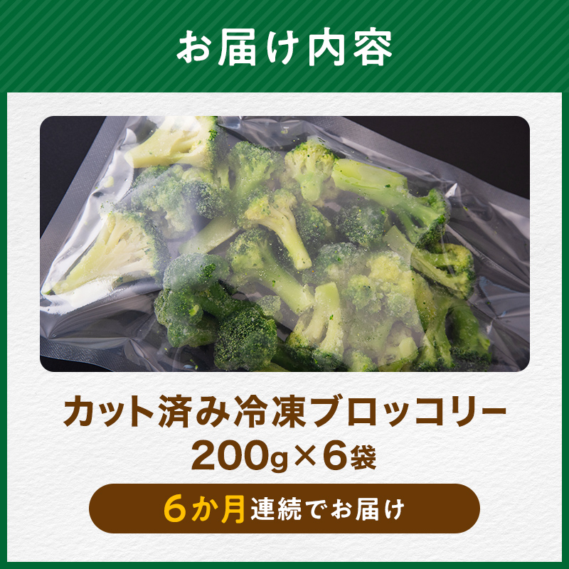 【6ヶ月定期便】小分け カット済み ブロッコリー 冷凍 1.2kg×6回 北海道森町産 野菜 おかず お弁当 便利 小分け カット済み ブロッコリー 冷凍 mr1-1006