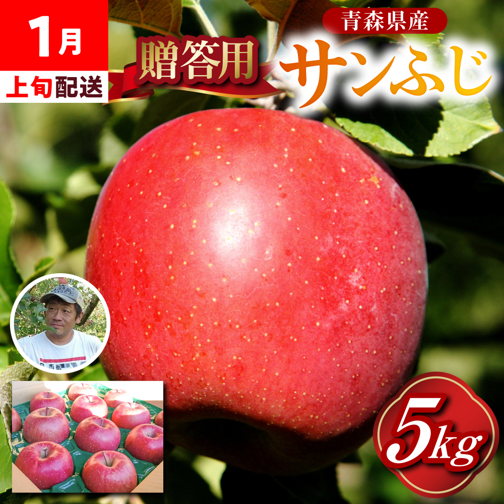 りんご　贈答用 【2026年1月上旬発送】 約 5kg サンふじ 五所川原 【 青森りんご サンふじりんご リンゴ 林檎 青森 贈答 】
