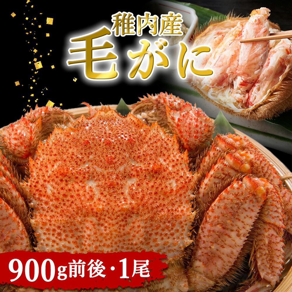 【ふるさと納税】稚内産 毛がに 900g前後 1尾 北海道 毛がに 毛蟹 かに カニ 蟹 冷凍 ギフト プレゼント 贈り物 送料無料 【配送不可地域：離島】