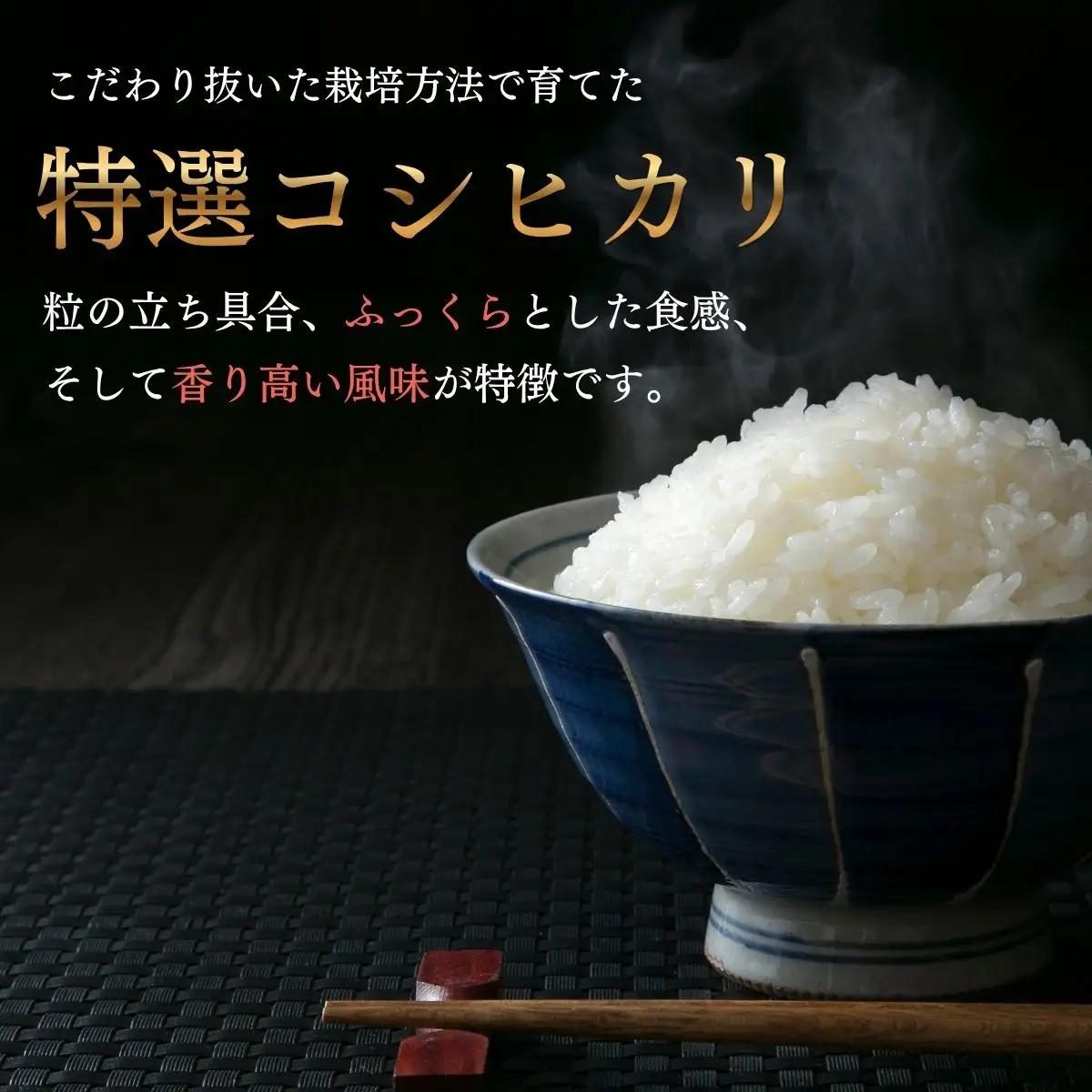 【新米予約】コシヒカリ 30㎏ 牛宿農園