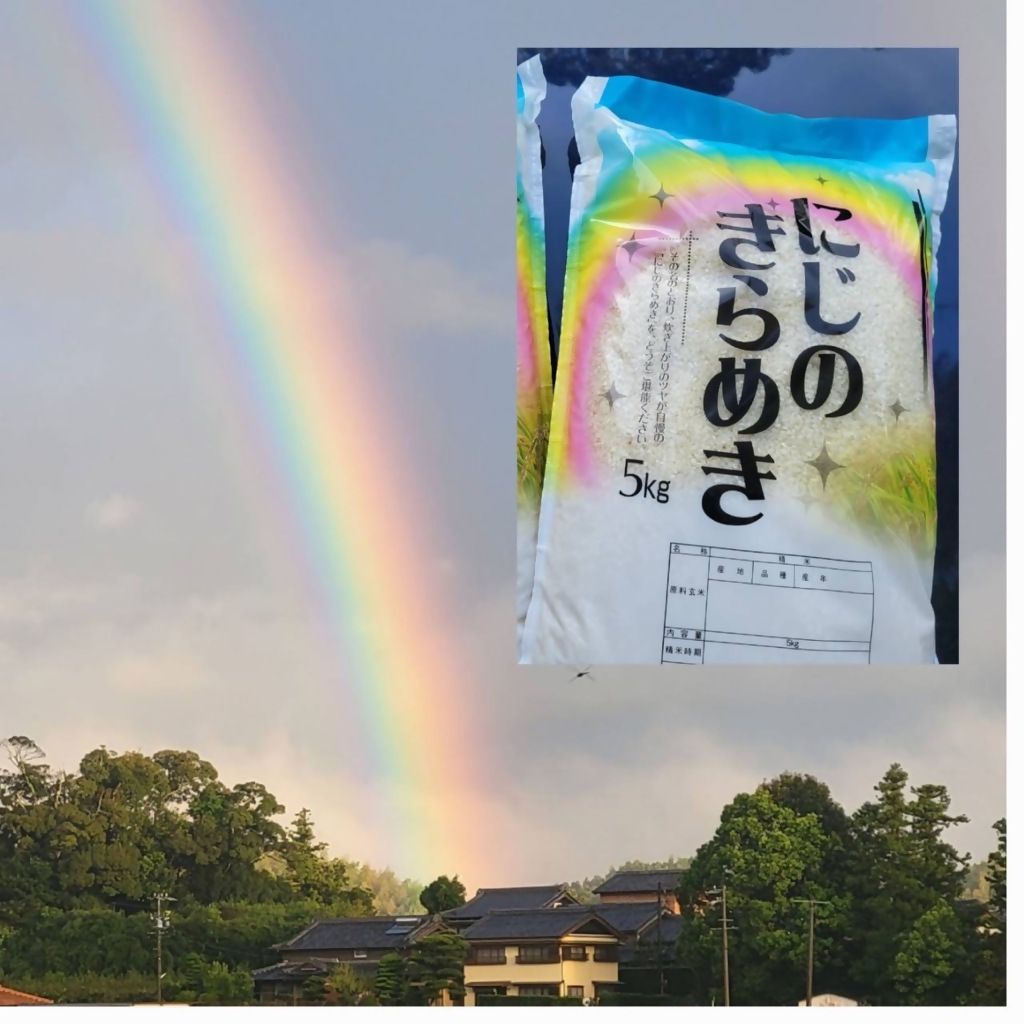 【3月発送】特別栽培米　循環型農業で作った「にじのきらめき」5kg×2袋　TC-0615